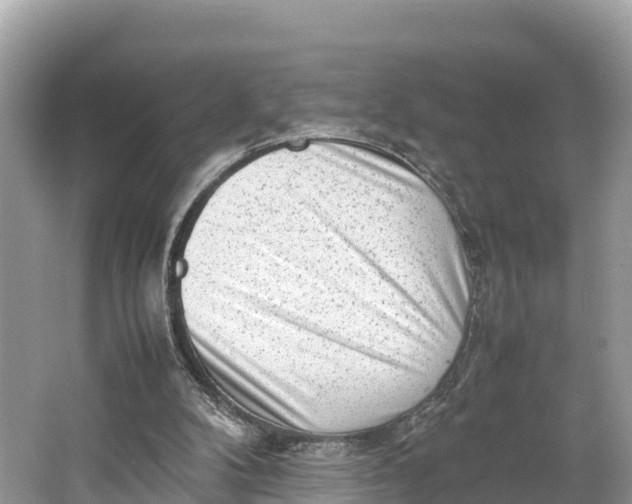 X0000064750104200602241851