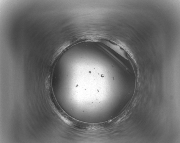 X0000064750105200602241851