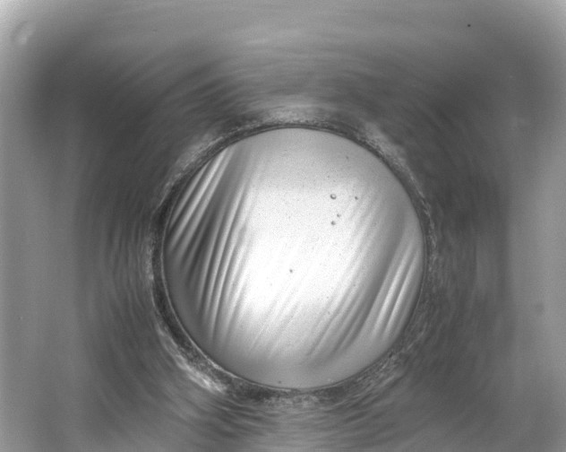 X0000064750106200602241851