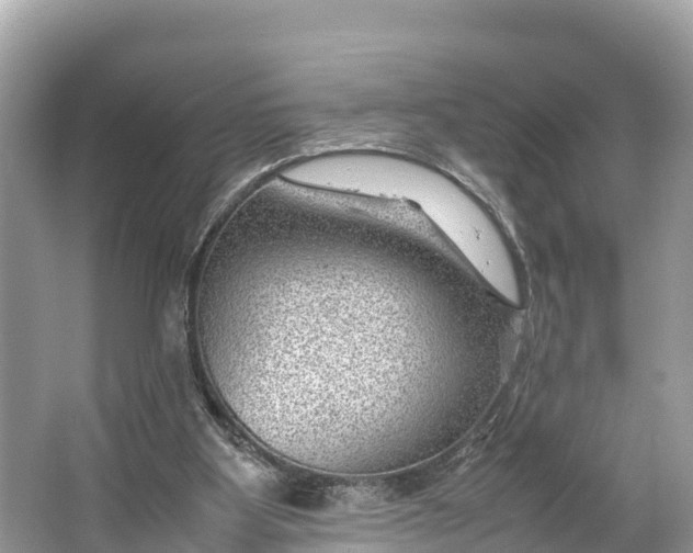 X0000064750107200602241851