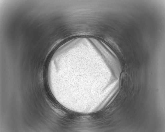 X0000064750108200602241851