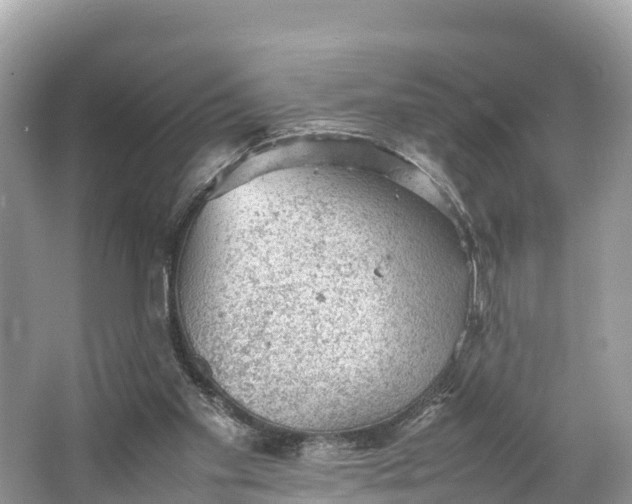 X0000064750109200602241851