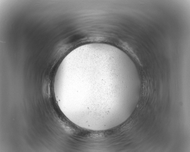 X0000064750110200602241851