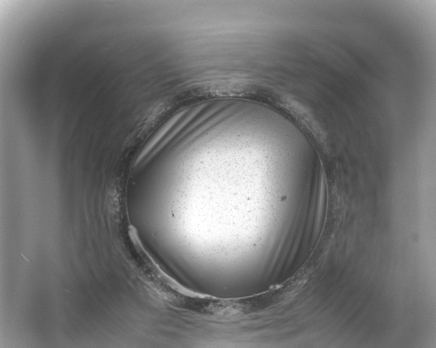 X0000064750113200602241851