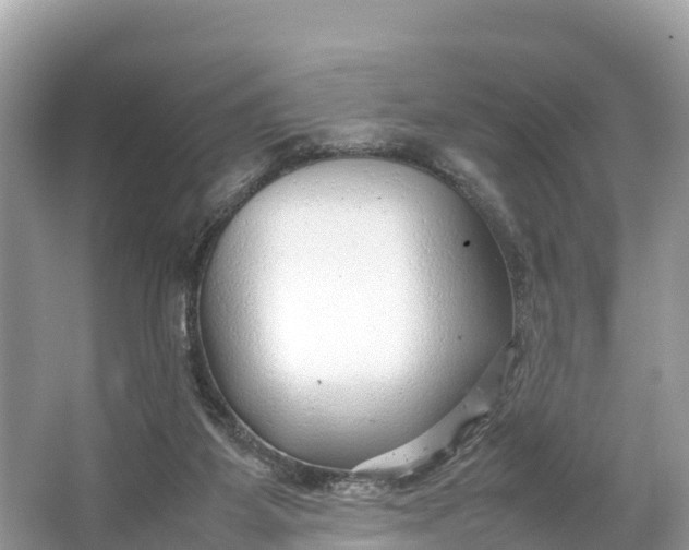 X0000064750115200602241851