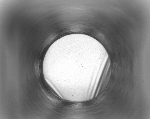 X0000064750116200602241851