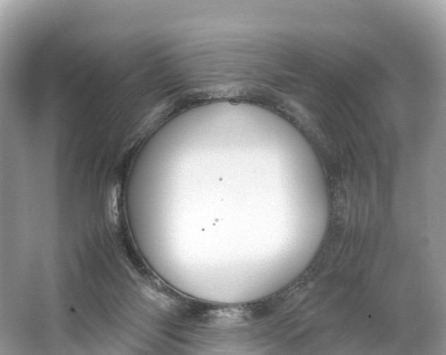 X0000064750118200602241851