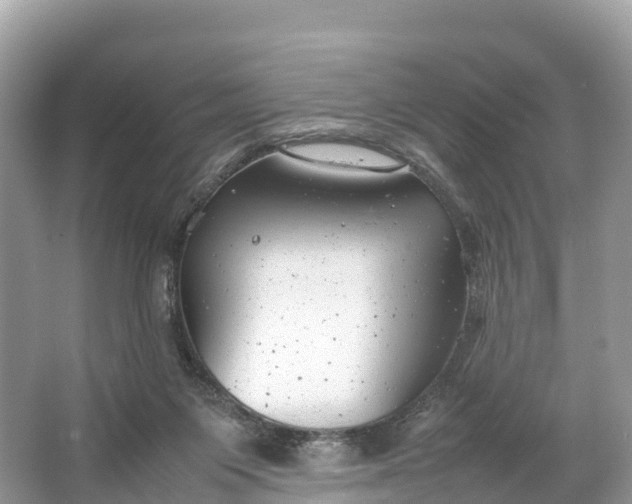 X0000064750119200602241851