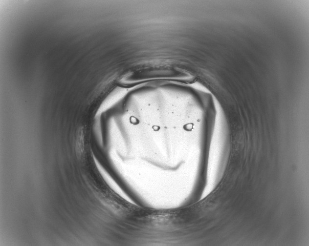 X0000064750120200602241851