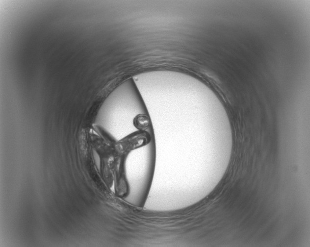 X0000064750121200602241851