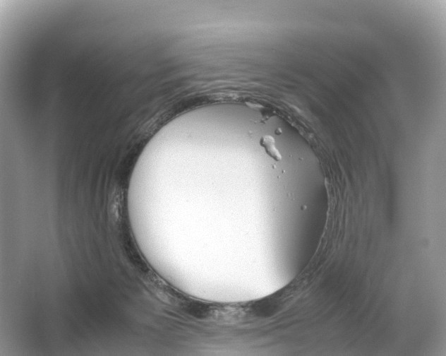 X0000064750125200602241851