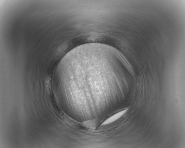 X0000064750127200602241851