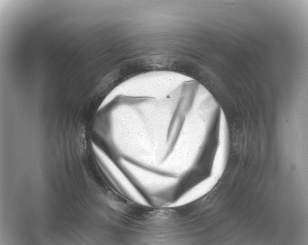 X0000064750128200602241851