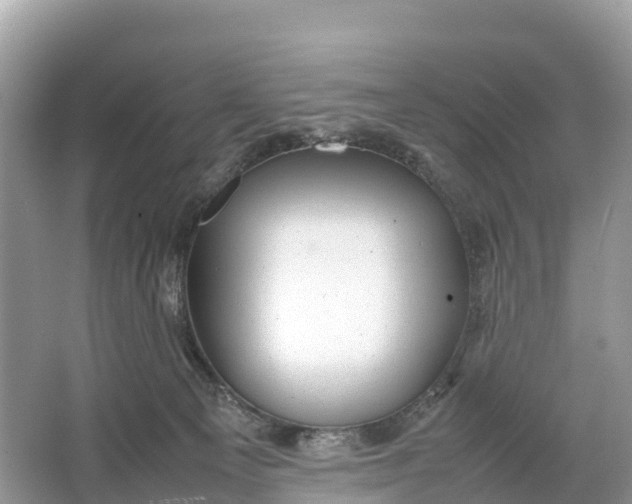 X0000064750129200602241851