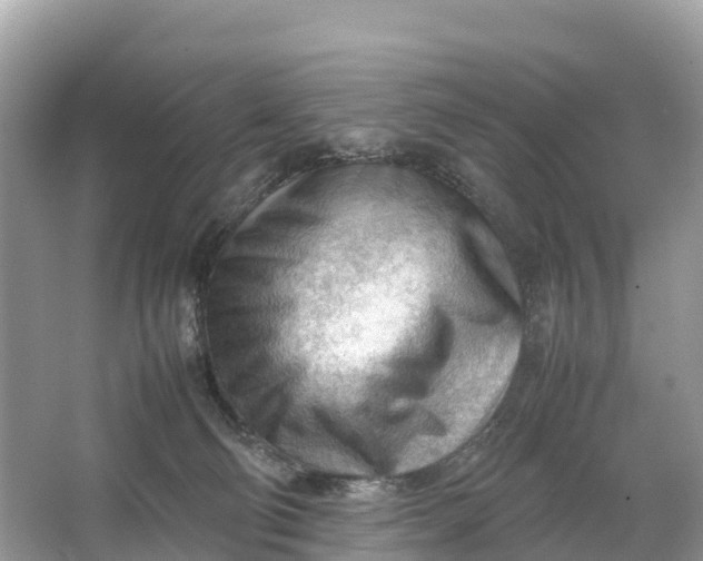 X0000064750130200602241851