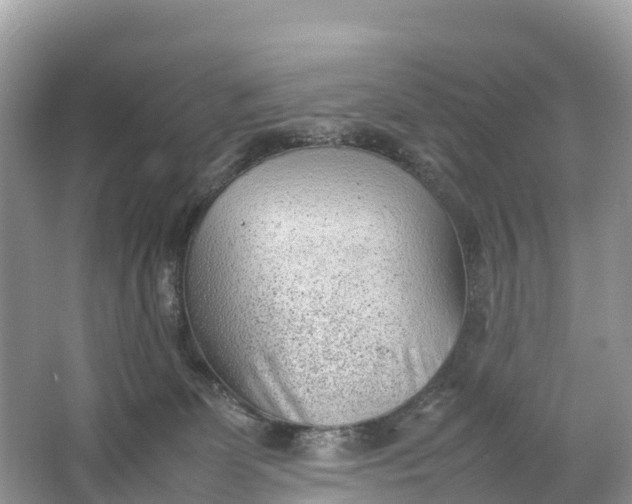 X0000064750131200602241851