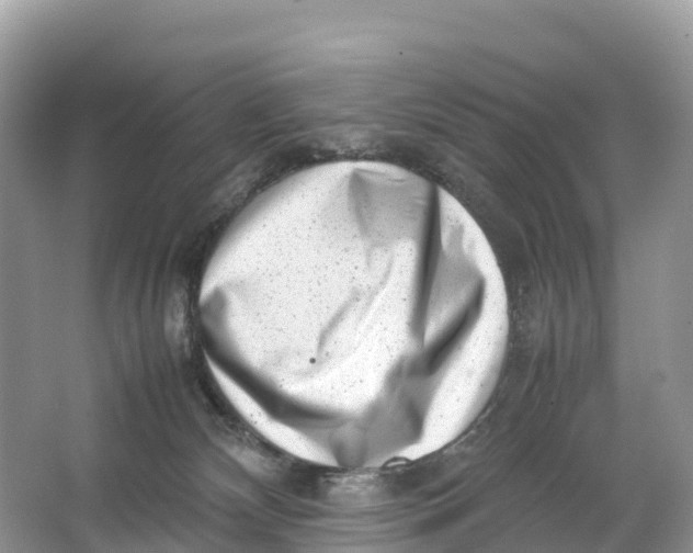 X0000064750132200602241851