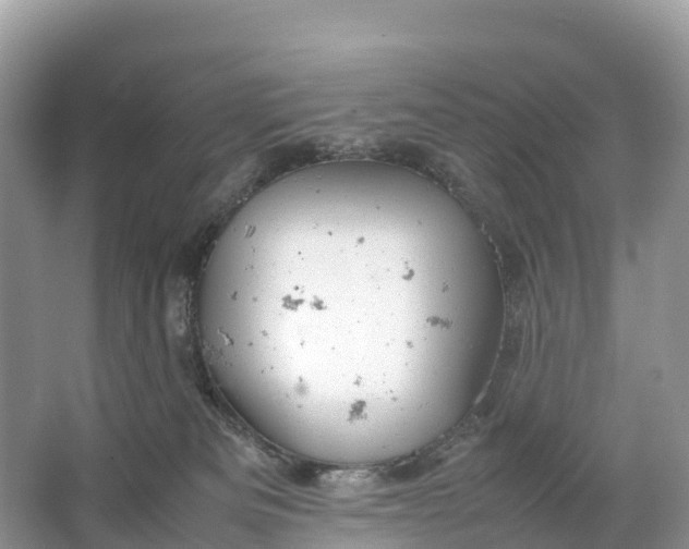 X0000064750133200602241851