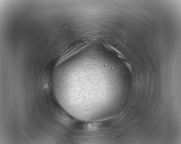 X0000064750134200602241851