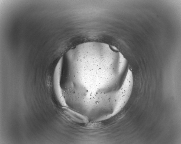 X0000064750135200602241851