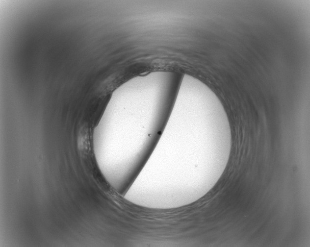 X0000064750137200602241850