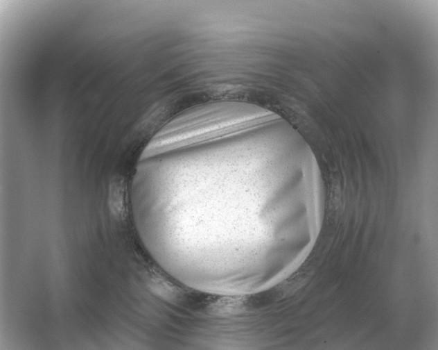 X0000064750138200602241850