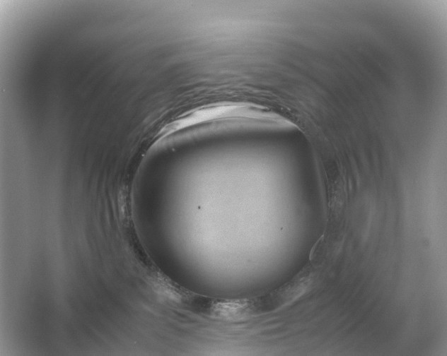 X0000064750139200602241850