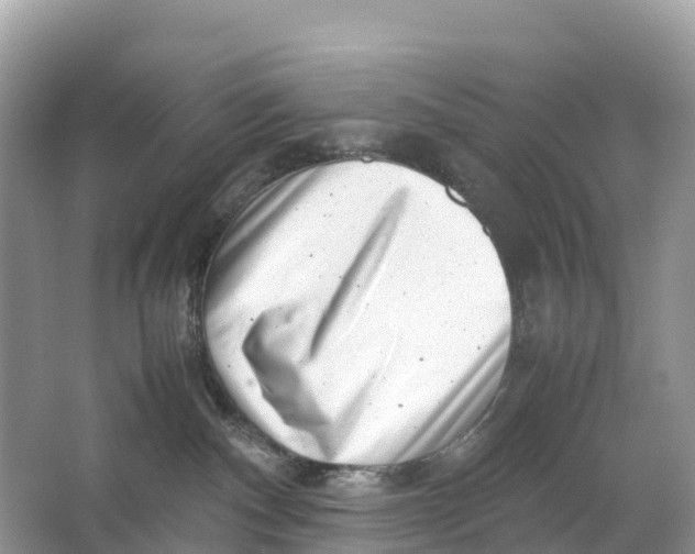 X0000064750140200602241850