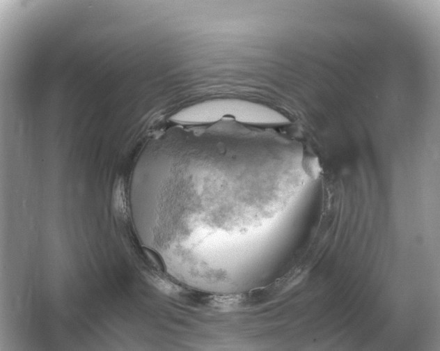 X0000064750143200602241850