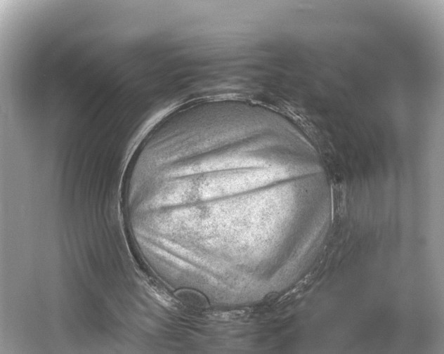 X0000064750147200602241849