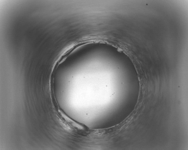 X0000064750148200602241849