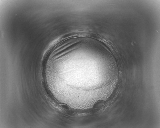 X0000064750149200602241849