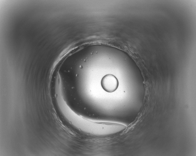 X0000064750150200602241849