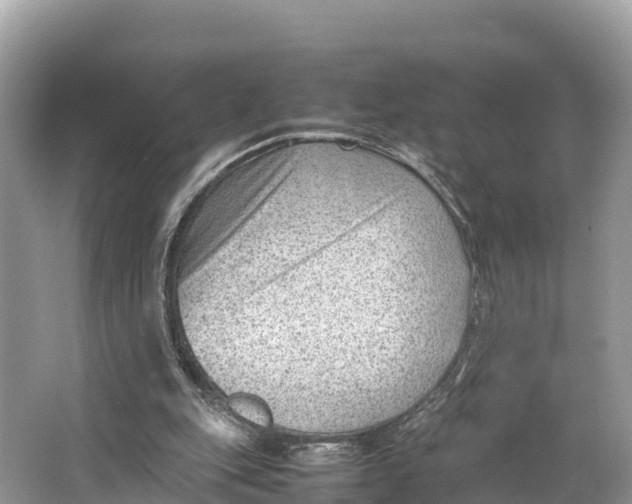 X0000064750151200602241849