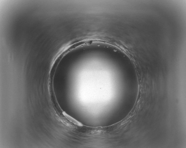 X0000064750152200602241849