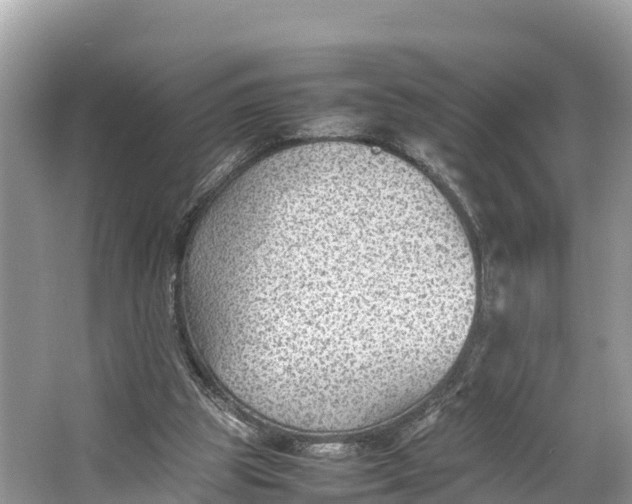 X0000064750153200602241849