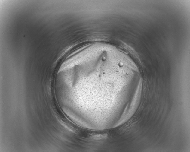 X0000064750155200602241849