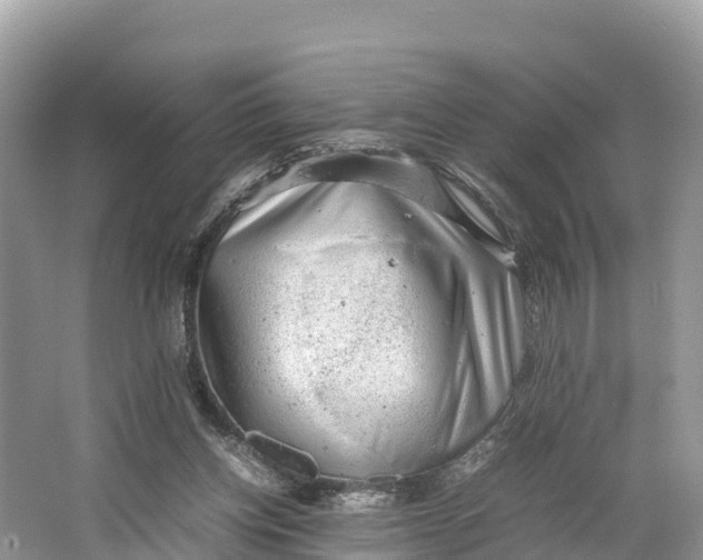 X0000064750158200602241849