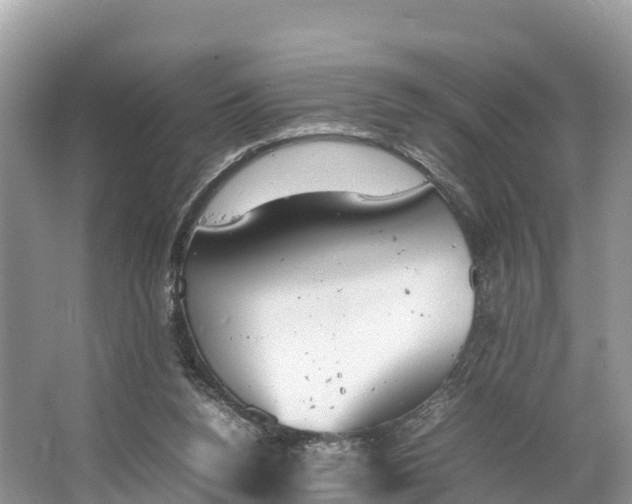 X0000064750160200602241849