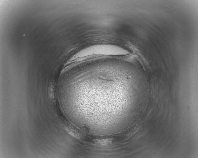 X0000064750161200602241849