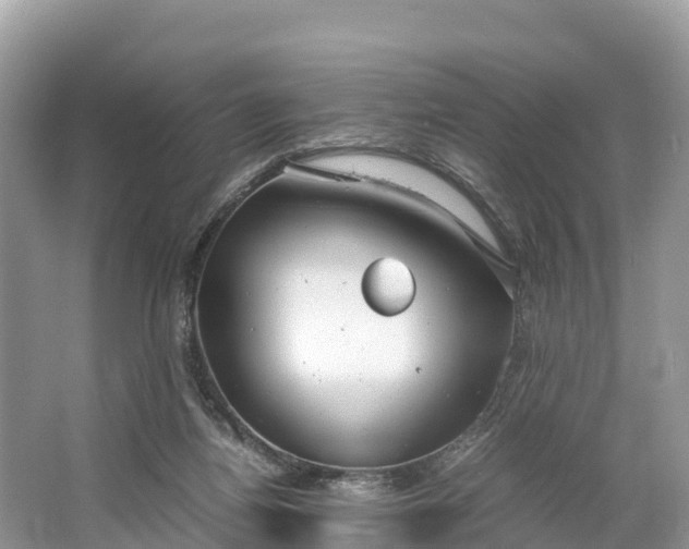 X0000064750164200602241850