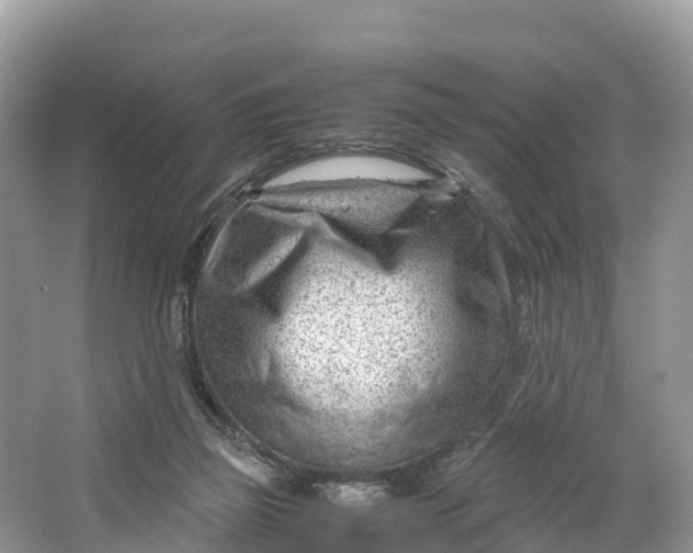 X0000064750165200602241850