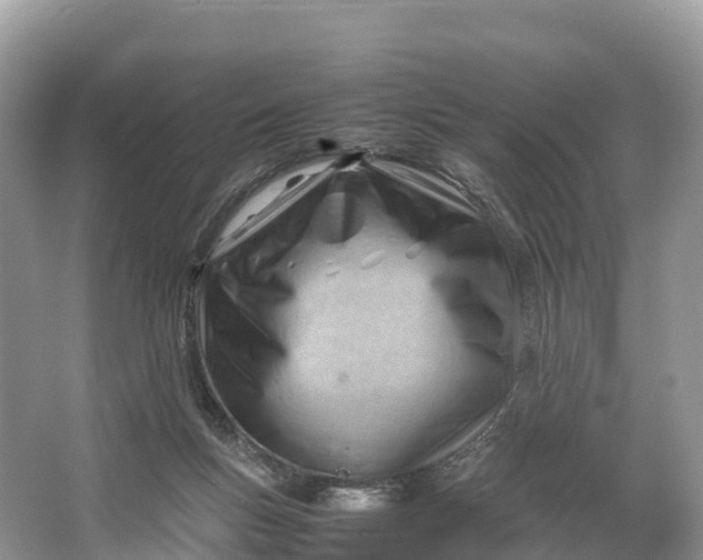 X0000064750167200602241850