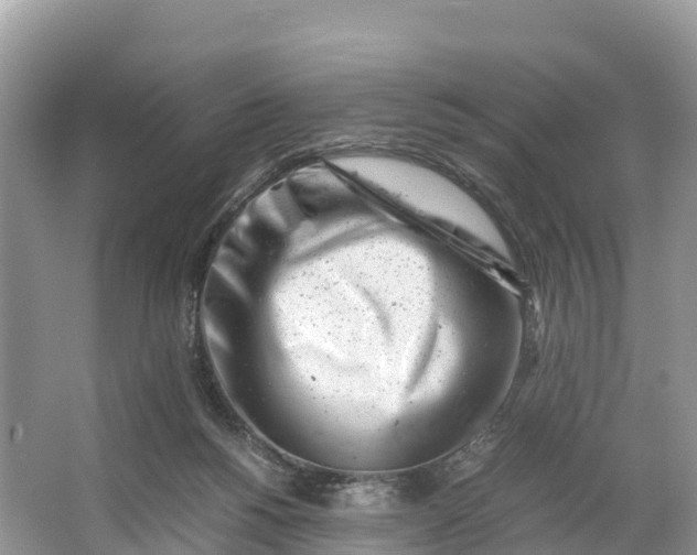 X0000064750168200602241850