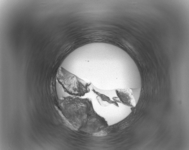 X0000064750169200602241850