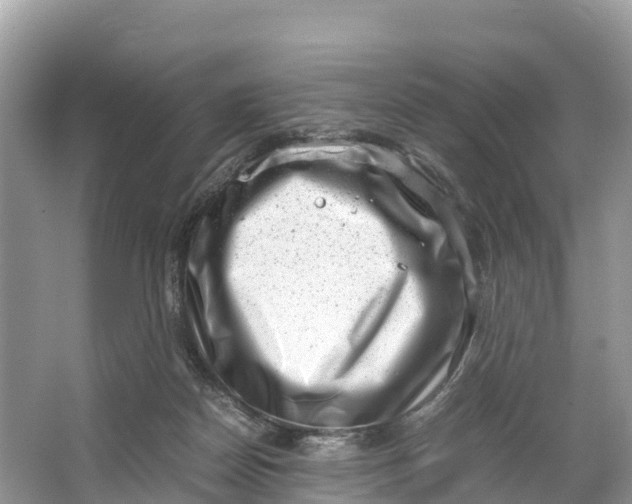 X0000064750170200602241850