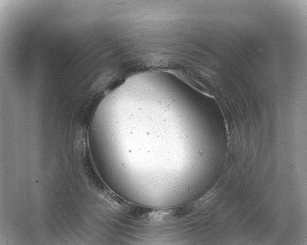 X0000064750172200602241850