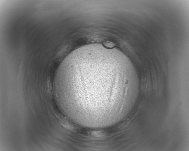 X0000064750173200602241850