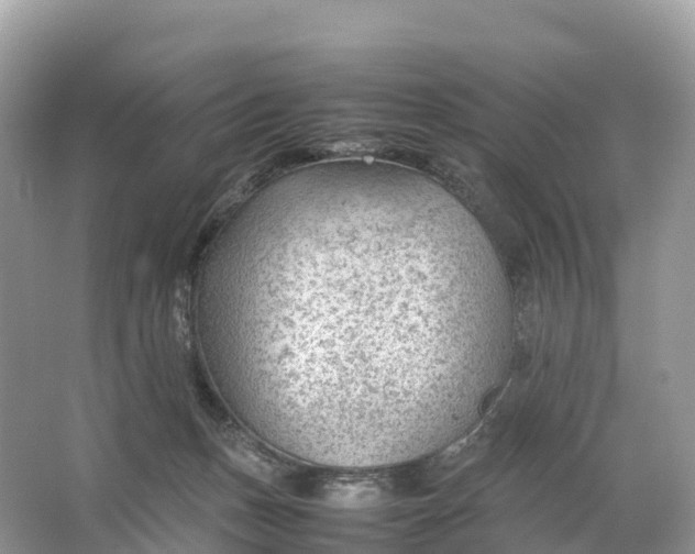 X0000064750175200602241850