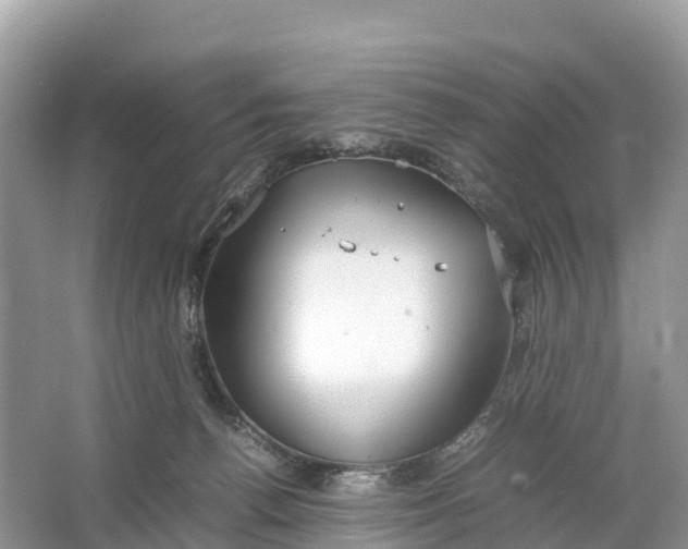 X0000064750176200602241850